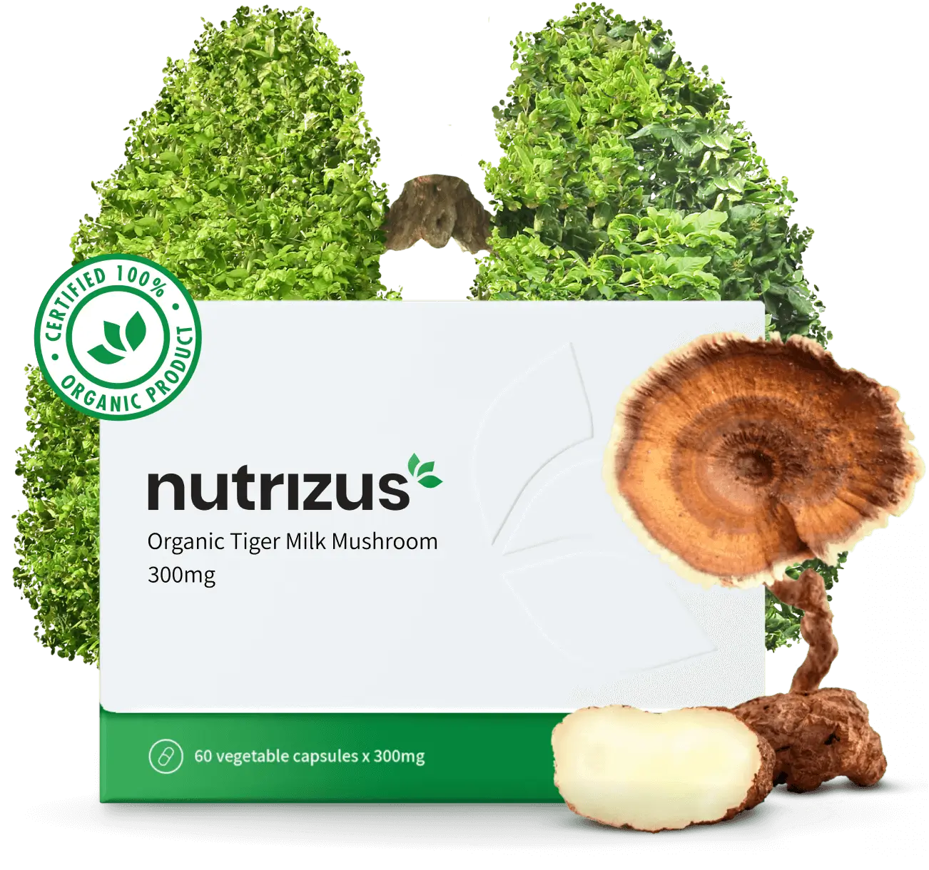 Nutrizus Tiger Milk Mushroom